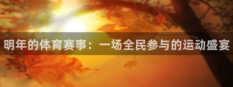 明年的体育赛事：一场全民参与的运动盛宴