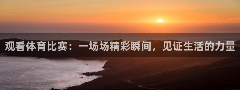 观看体育比赛：一场场精彩瞬间，见证生活的力量