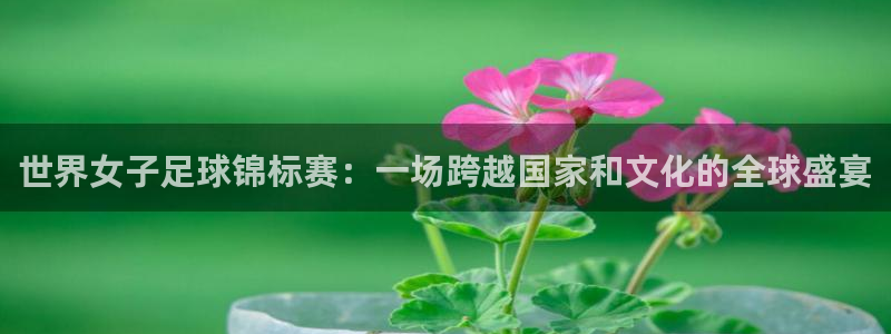世界女子足球锦标赛：一场跨越国家和文化的全球盛宴