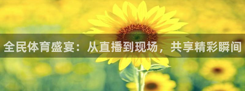 全民体育盛宴：从直播到现场，共享精彩瞬间