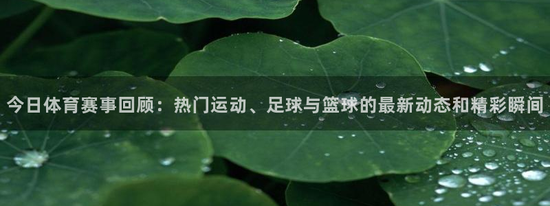 今日体育赛事回顾：热门运动、足球与篮球的最新动态和精彩瞬间