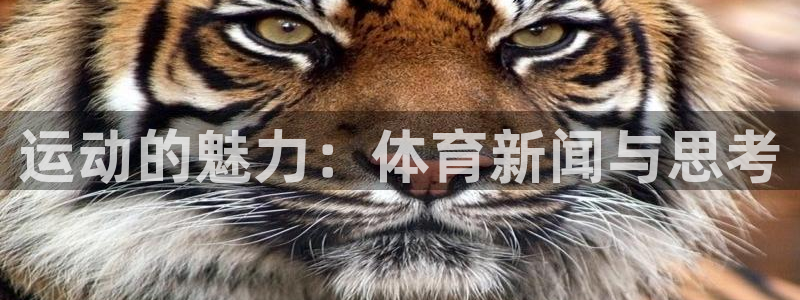 运动的魅力：体育新闻与思考