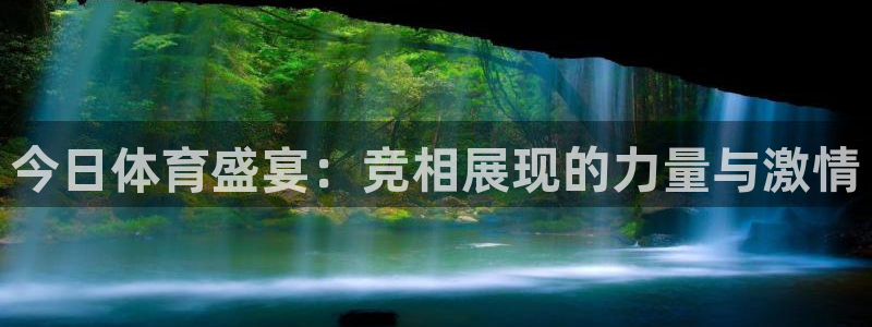 今日体育盛宴：竞相展现的力量与激情