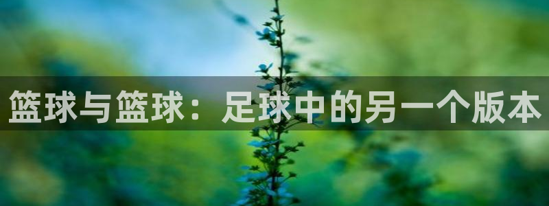 篮球与篮球：足球中的另一个版本