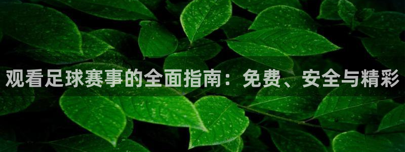 观看足球赛事的全面指南：免费、安全与精彩