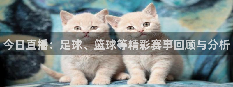 今日直播：足球、篮球等精彩赛事回顾与分析