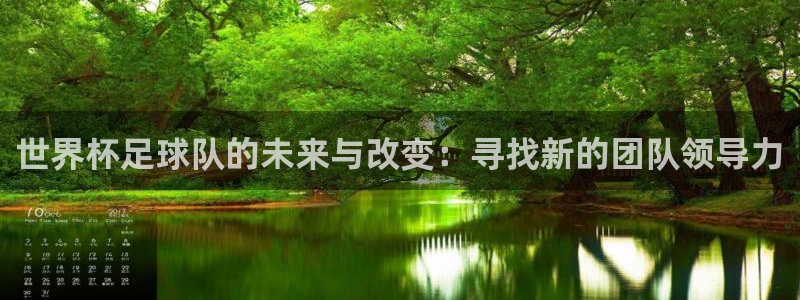 世界杯足球队的未来与改变：寻找新的团队领导力