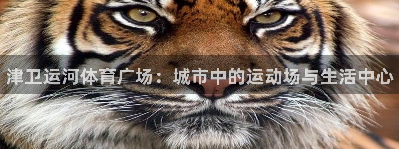 津卫运河体育广场：城市中的运动场与生活中心