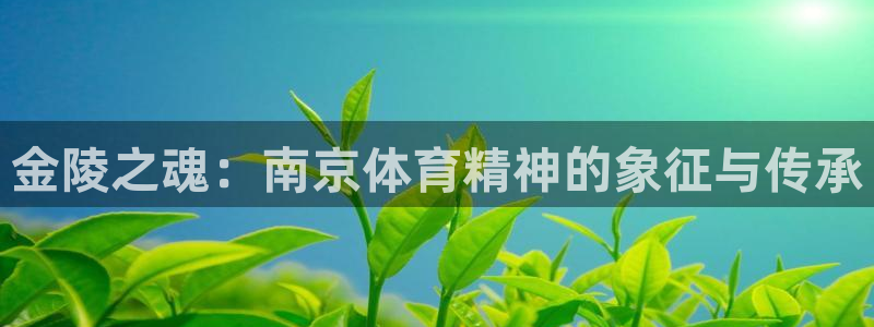 金陵之魂：南京体育精神的象征与传承