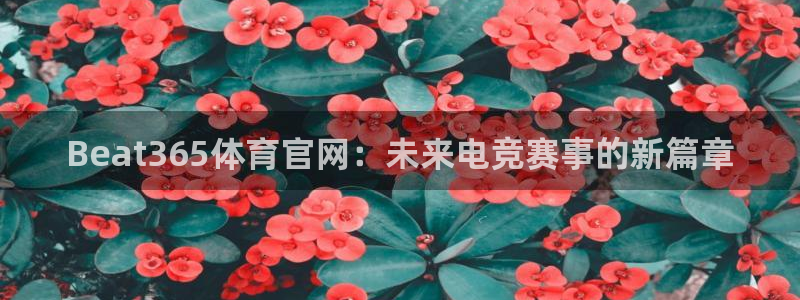 Beat365体育官网：未来电竞赛事的新篇章