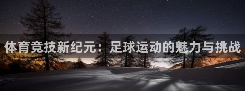 体育竞技新纪元：足球运动的魅力与挑战