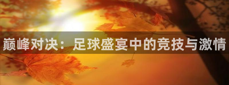 巅峰对决：足球盛宴中的竞技与激情
