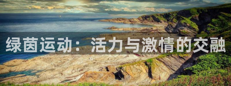 绿茵运动：活力与激情的交融