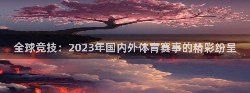全球竞技：2023年国内外体育赛事的精彩纷呈