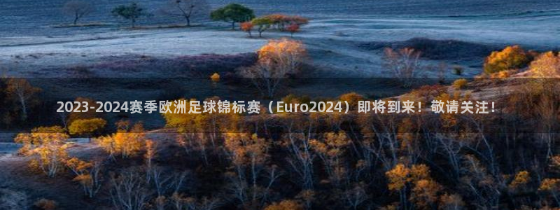 2023-2024赛季欧洲足球锦标赛（Euro2024）即将到来！敬请关注！
