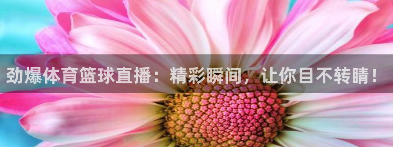 劲爆体育篮球直播：精彩瞬间，让你目不转睛！
