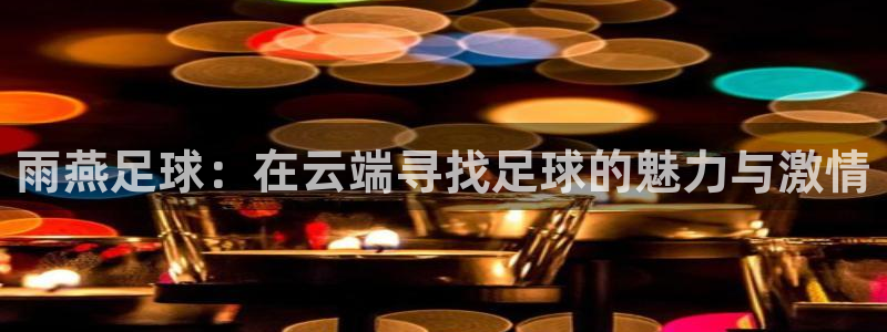 雨燕足球：在云端寻找足球的魅力与激情
