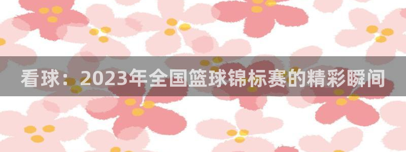 看球：2023年全国篮球锦标赛的精彩瞬间
