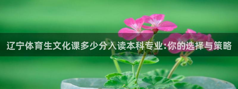 辽宁体育生文化课多少分入读本科专业:你的选择与策略