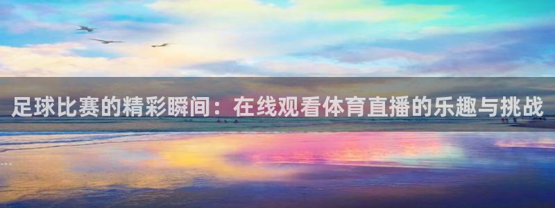 足球比赛的精彩瞬间：在线观看体育直播的乐趣与挑战