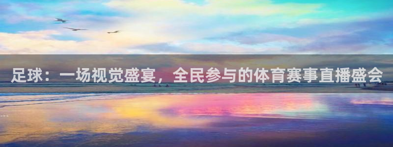 足球：一场视觉盛宴，全民参与的体育赛事直播盛会