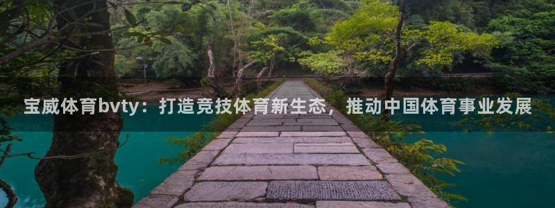 宝威体育bvty：打造竞技体育新生态，推动中国体育事业发展
