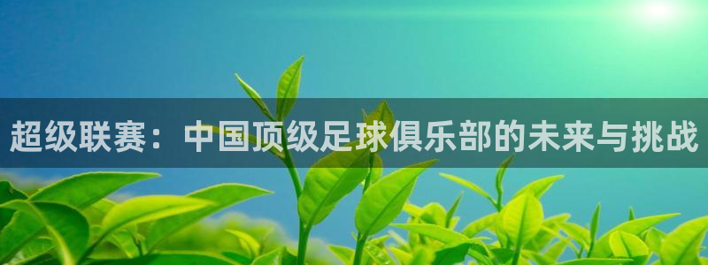 超级联赛：中国顶级足球俱乐部的未来与挑战