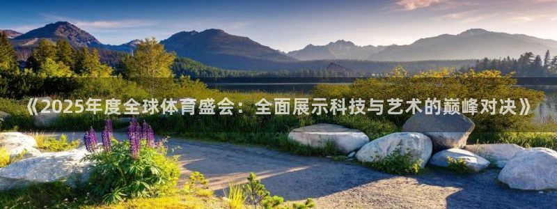 《2025年度全球体育盛会：全面展示科技与艺术的巅峰对决》