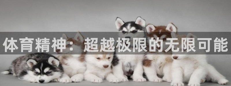 体育精神：超越极限的无限可能