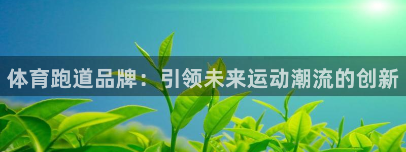体育跑道品牌：引领未来运动潮流的创新