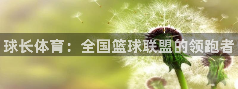 球长体育：全国篮球联盟的领跑者