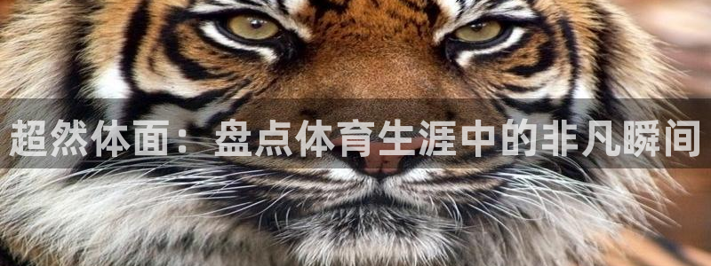 超然体面：盘点体育生涯中的非凡瞬间