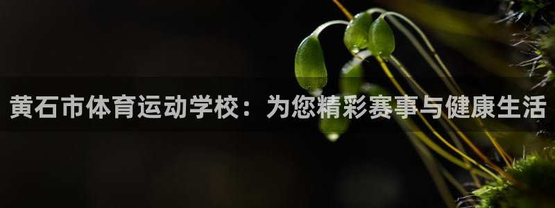 黄石市体育运动学校：为您精彩赛事与健康生活