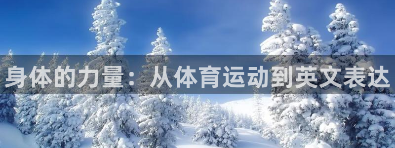 身体的力量：从体育运动到英文表达