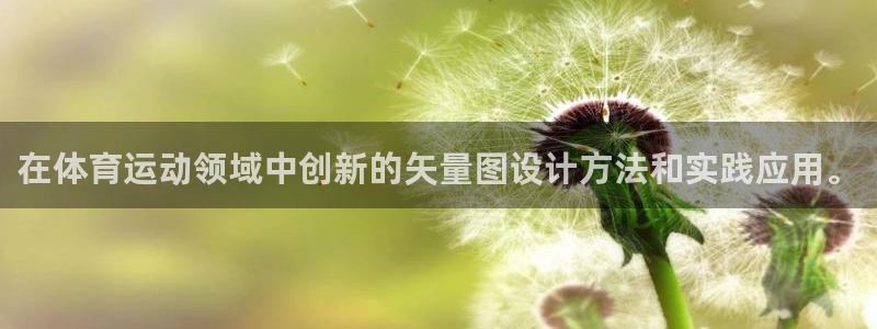 在体育运动领域中创新的矢量图设计方法和实践应用。