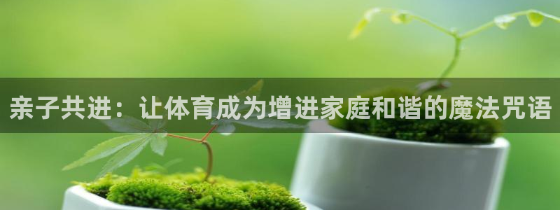 亲子共进：让体育成为增进家庭和谐的魔法咒语