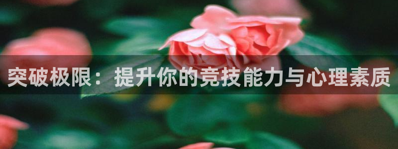 突破极限：提升你的竞技能力与心理素质