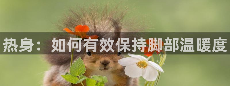 热身：如何有效保持脚部温暖度