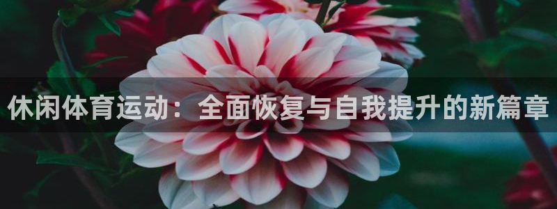 休闲体育运动：全面恢复与自我提升的新篇章