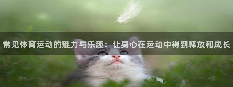 常见体育运动的魅力与乐趣：让身心在运动中得到释放和成长