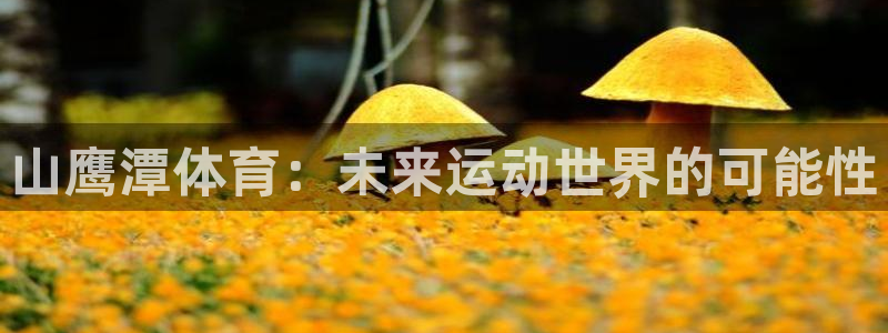 山鹰潭体育：未来运动世界的可能性