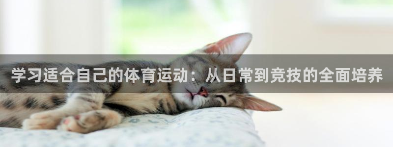 学习适合自己的体育运动：从日常到竞技的全面培养