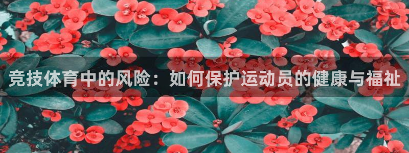 竞技体育中的风险：如何保护运动员的健康与福祉
