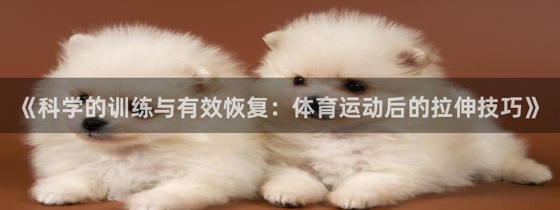 《科学的训练与有效恢复：体育运动后的拉伸技巧》