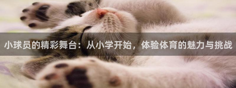 小球员的精彩舞台：从小学开始，体验体育的魅力与挑战