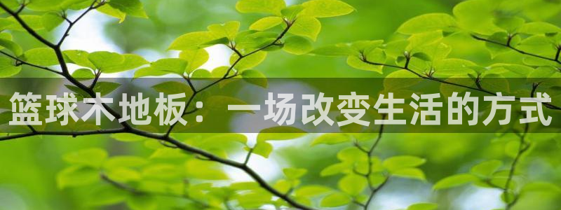 篮球木地板：一场改变生活的方式