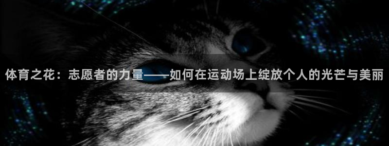 体育之花：志愿者的力量——如何在运动场上绽放个人的光芒与美丽