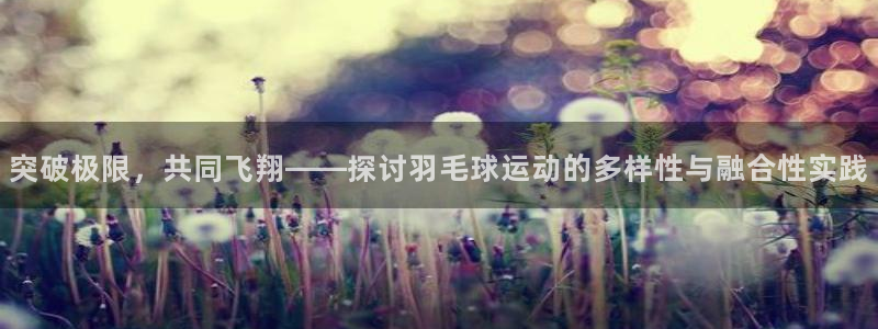 突破极限，共同飞翔——探讨羽毛球运动的多样性与融合性实践