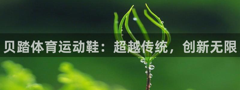 贝踏体育运动鞋：超越传统，创新无限