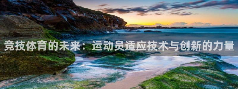 竞技体育的未来：运动员适应技术与创新的力量